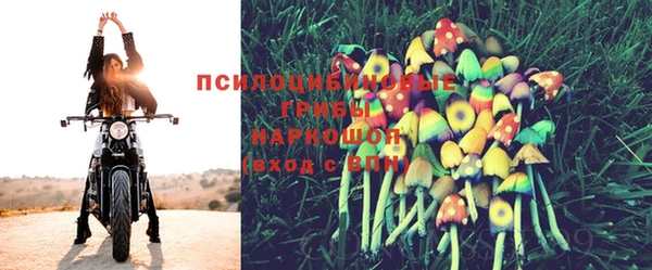 сатива Бугульма